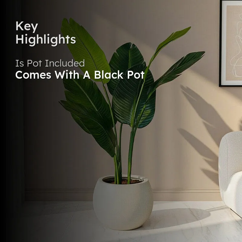 Faux Everlasting Bird of Paradise Plant With Black Plastic Pot - 108 cm (3.5 ft) media 2