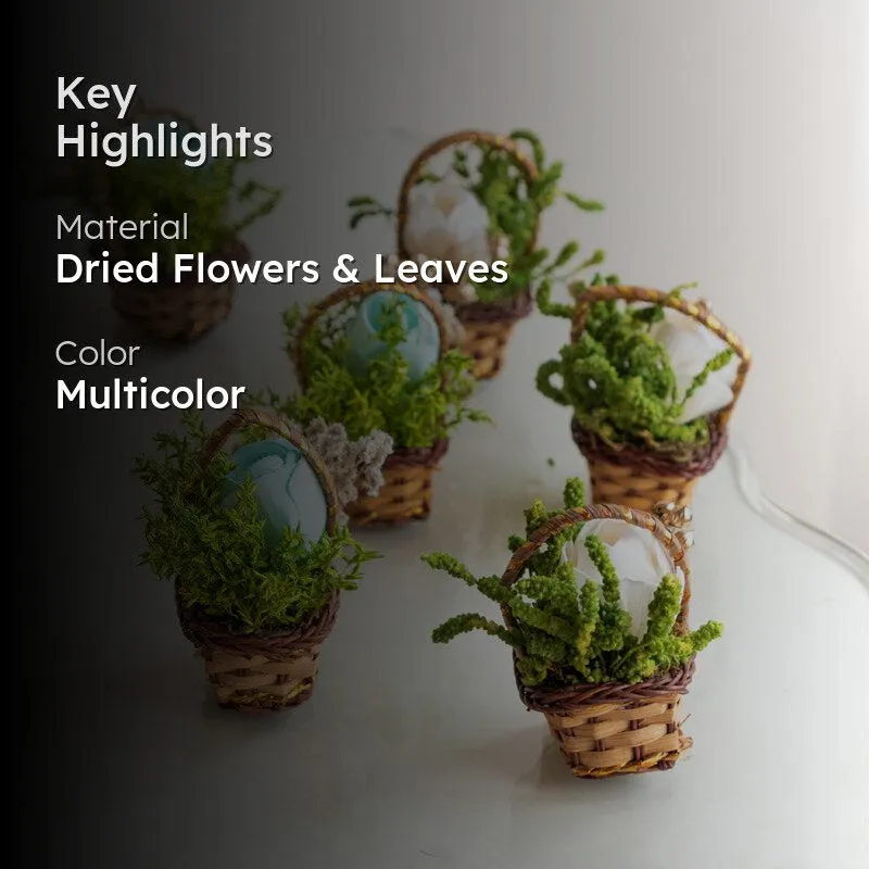 Tritona Mini Dried Flower Basket - Set Of Six media 2
