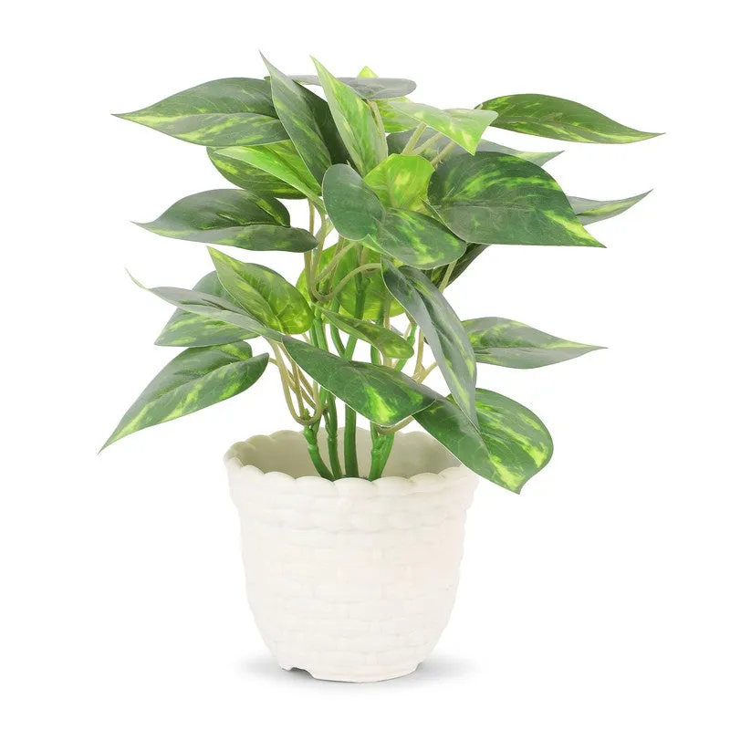 Neonix Syngonium Artificial Plant With Plastic Pot - 0.8 Feet media 4