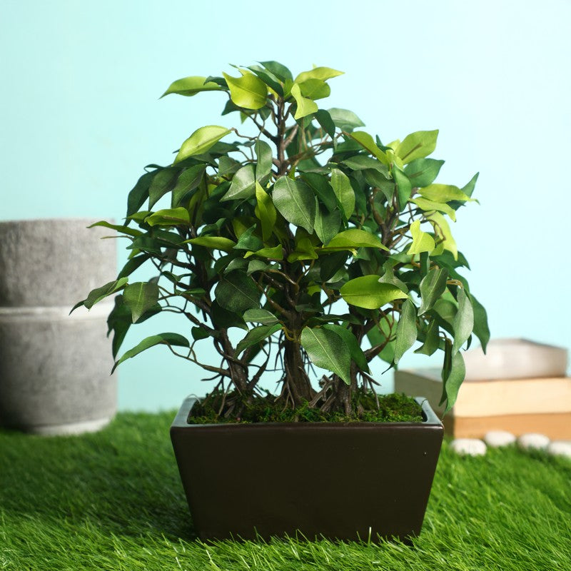 1 ft Green Ficus Artificial Bonsai Plant With Ceramic Pot