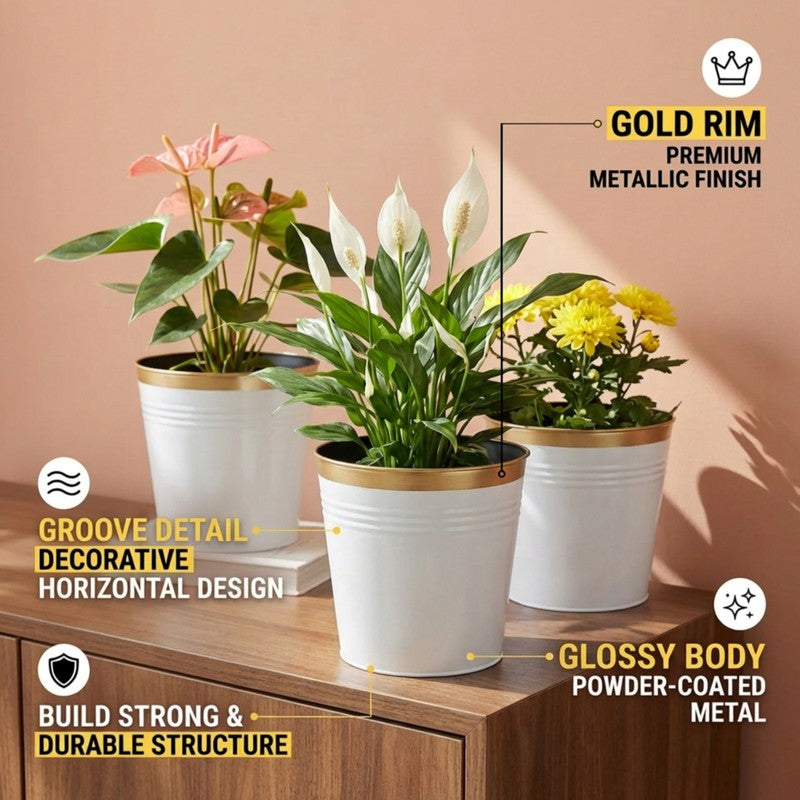 Leafora Iron Planter (White) - Set Of Three media 8