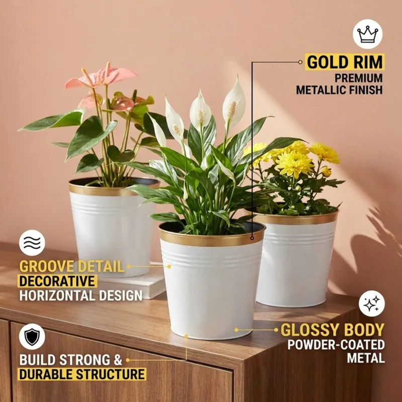 Leafora Iron Planter (White) - Set Of Three media 8