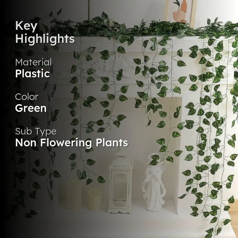 Faux Money Plant Wall Creeper media 2