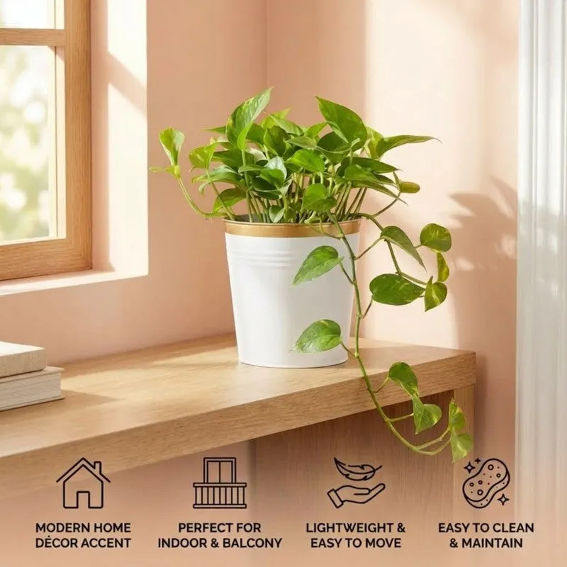 Leafora Iron Planter - White media 8