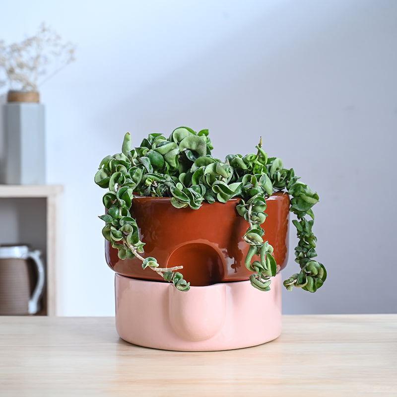 Ugaoo Lady Leafington Ceramic Planter - Terracotta & Pink media 2