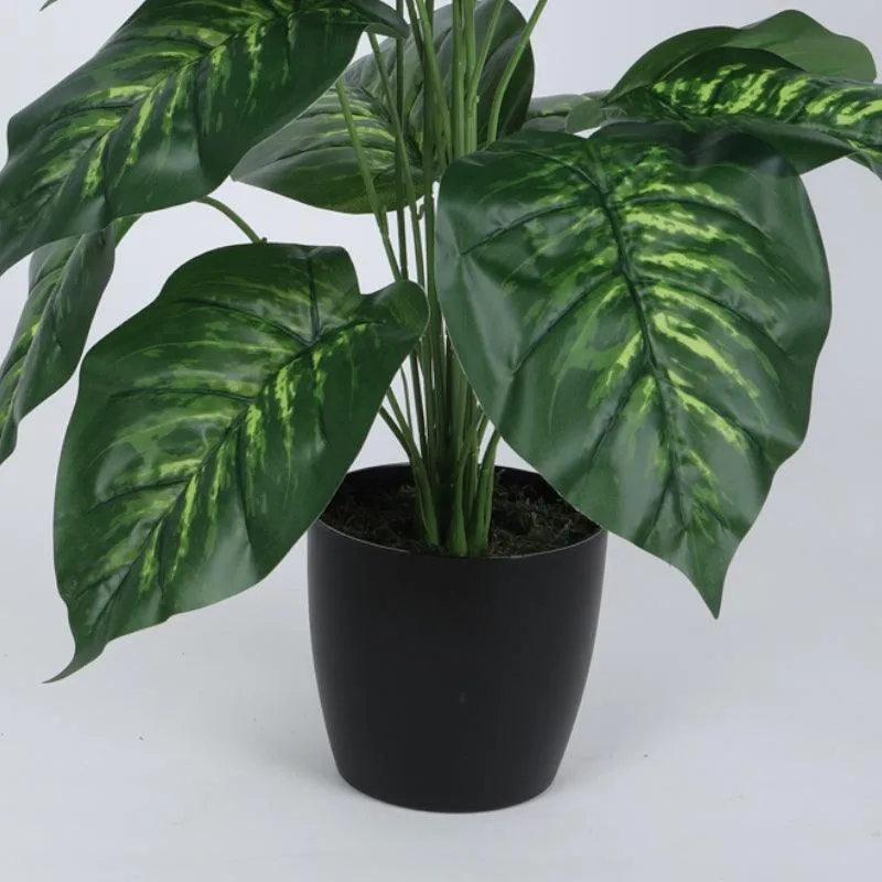 Faux Tropic Leopard Lily With Black Plastic Pot - 2.13 ft media 6