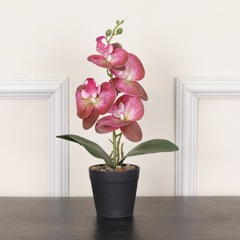 Artificial Dark Purple Orchid Flower Plant With Black Fiber Pot - 1 Feet media 4