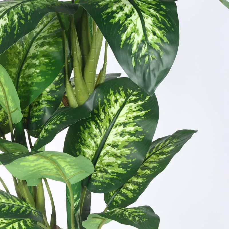 Faux Lush Dieffenbachia Plant With Black Plastic Pot - 2.0 Feet media 4