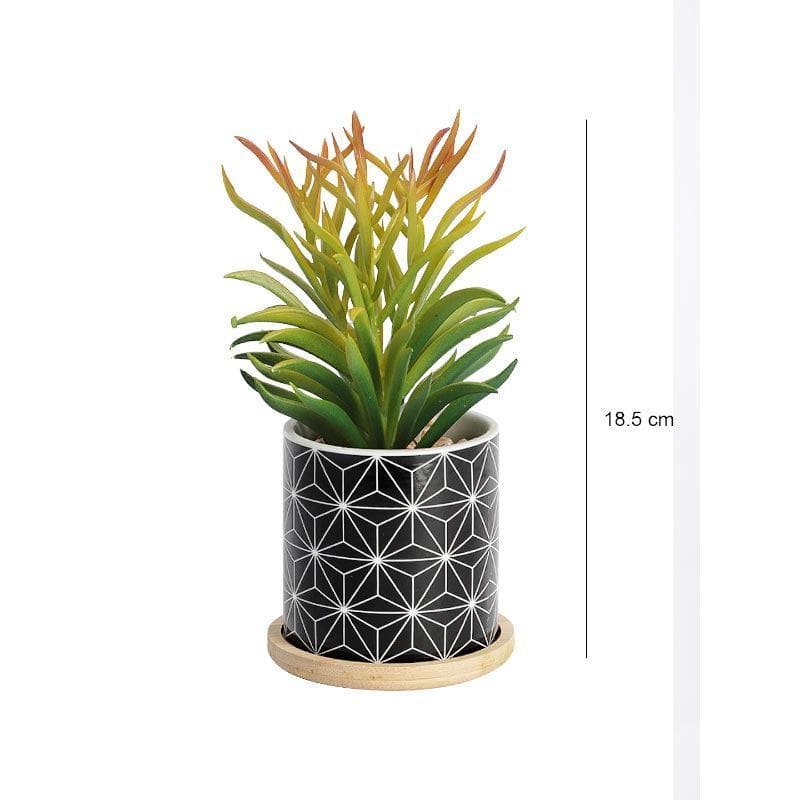 Faux Euphorbia In Minimalist Pot - 18.5 cms media 4
