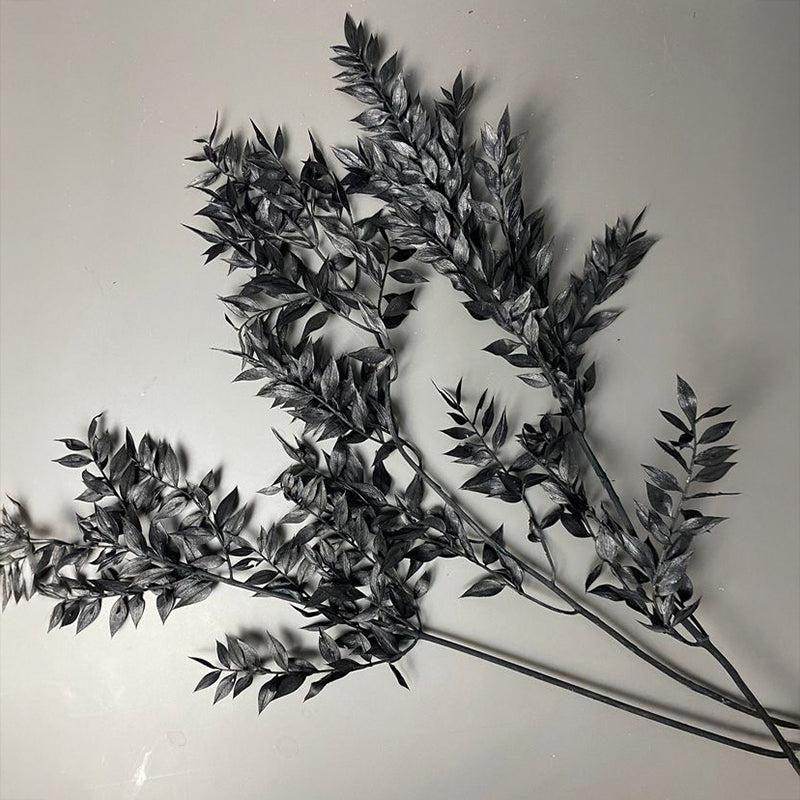 Dried Ruscus Bunch (Black) - Set Of Three media 6