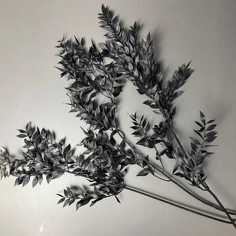Dried Ruscus Bunch (Black) - Set Of Three media 6