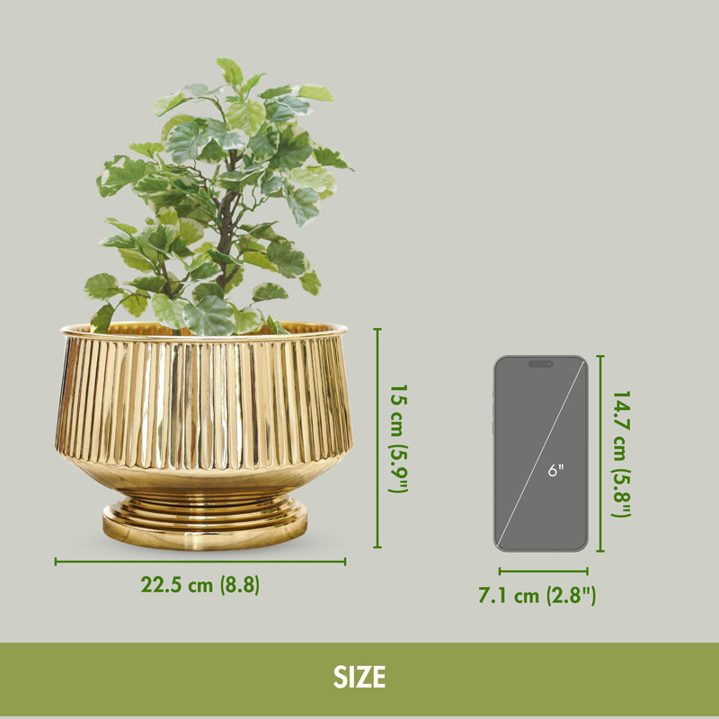 Forgea Metal Planter media 7