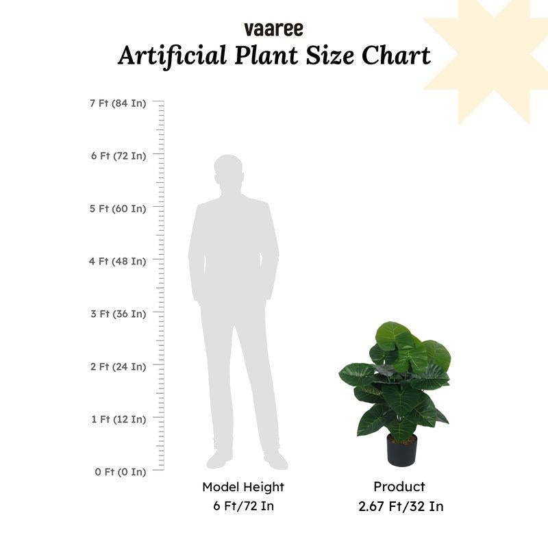 Faux Lush Rubber Fig Plant With Black Plastic Pot - 2.6 Feet media 7