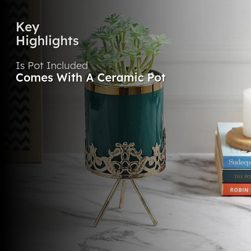 Faux Crassula In Blue Ceramic Pot - 20 cms media 2