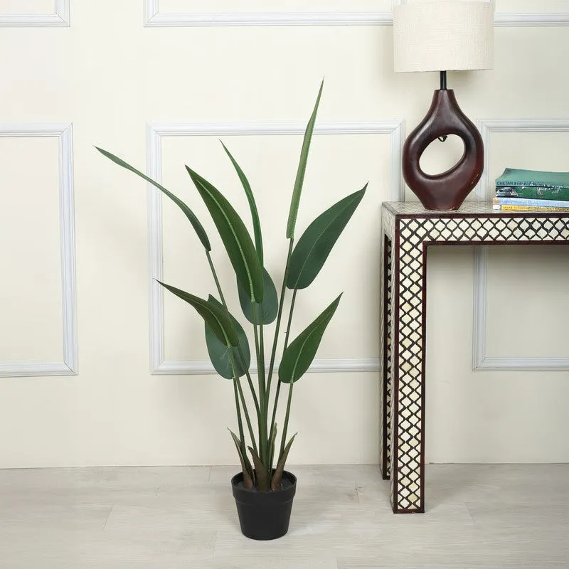 EverFresh Banana Plant With Black Fiber Pot - 3.6 Feet media 3