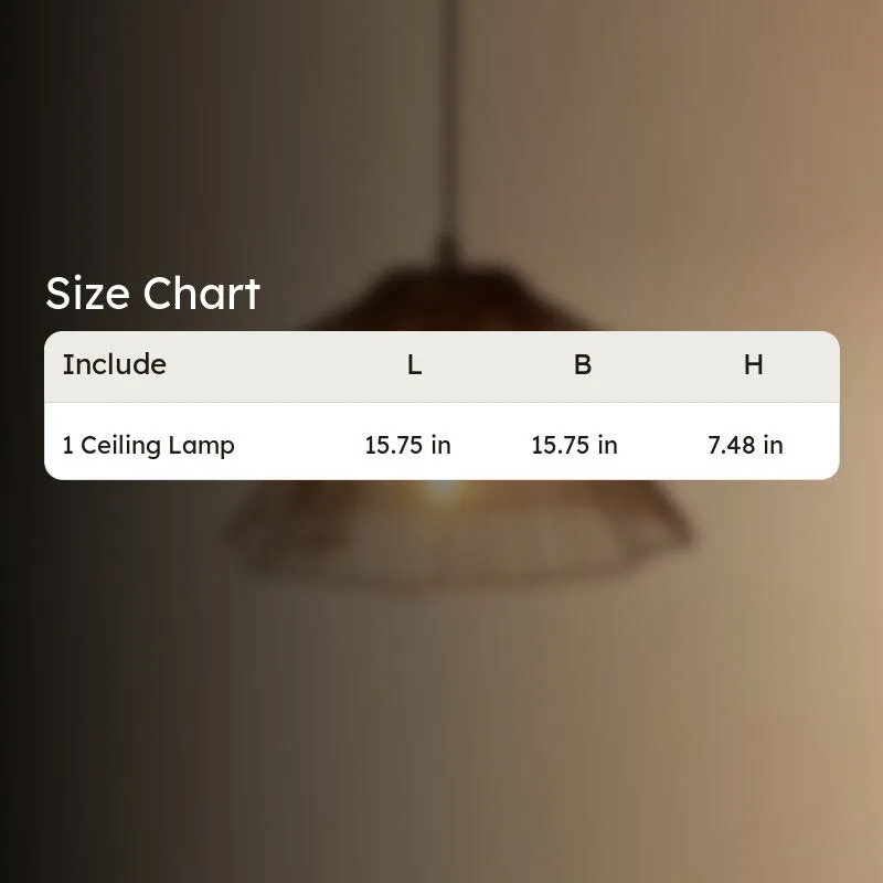 Size chart for one ceiling lamp showing dimensions