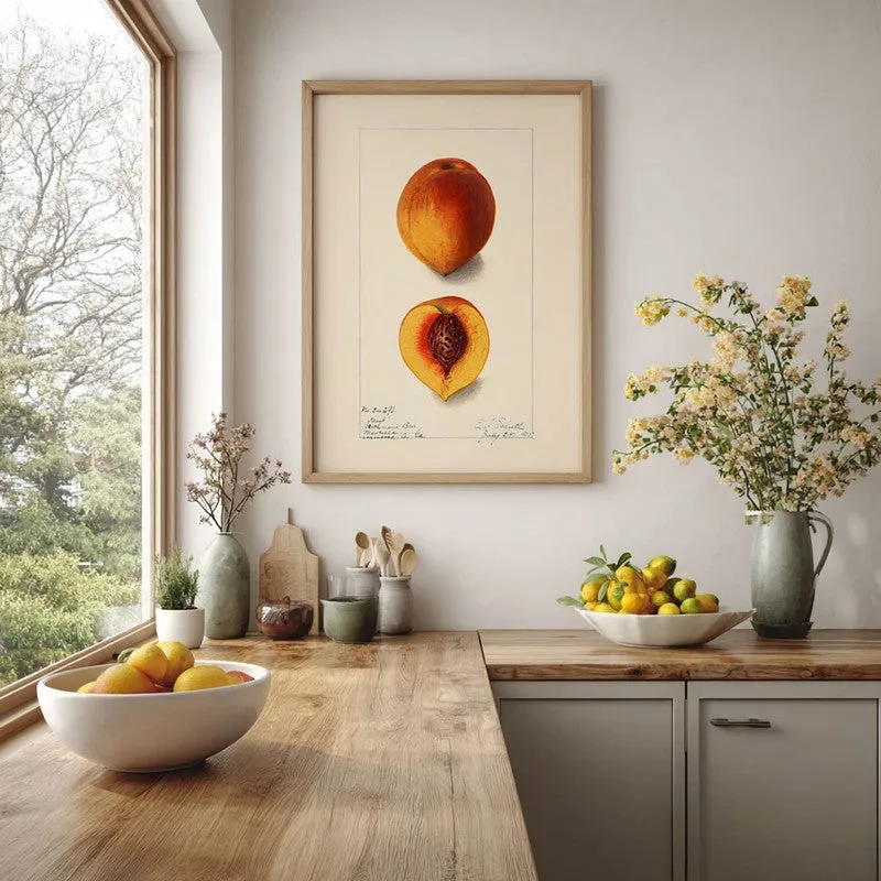 FruitAura Archival Canvas Wall Art - Brown media 5
