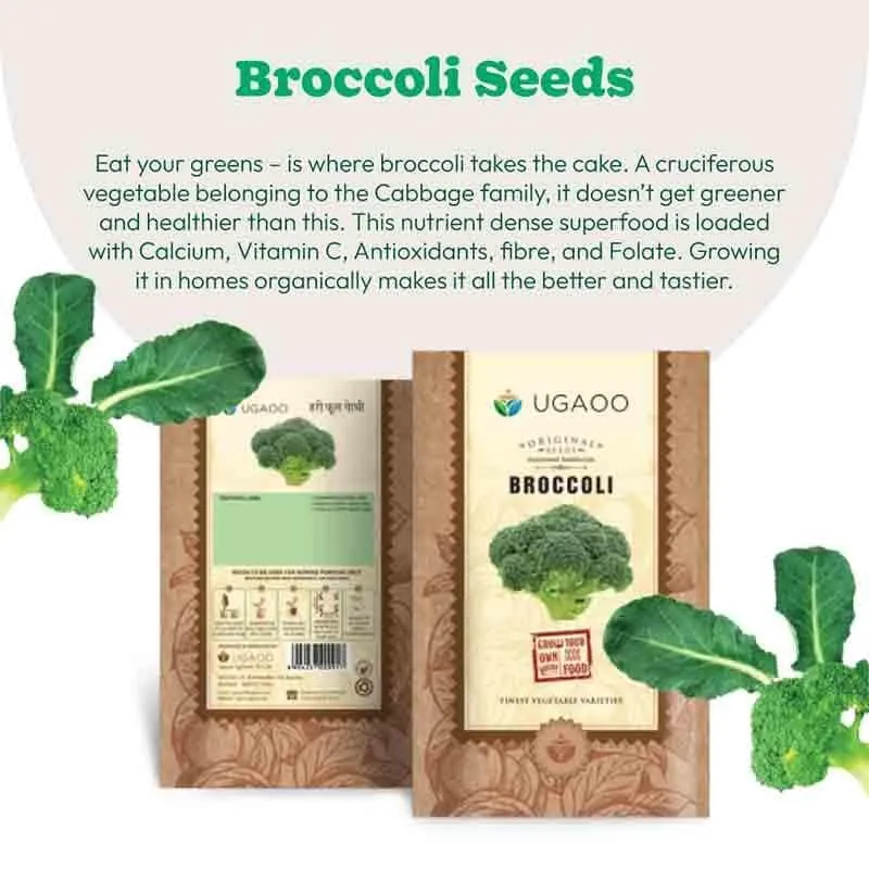 Ugaoo Premium Broccoli Seeds for Home Gardening media 3