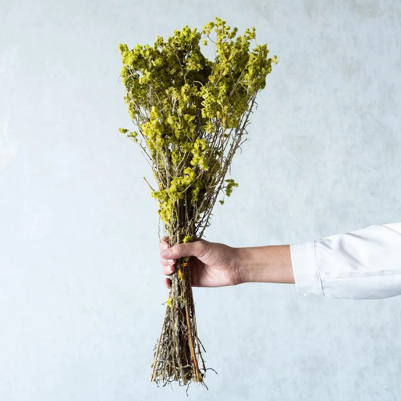 Gypso Glam Dried Flower Bunch - Yellow media 1