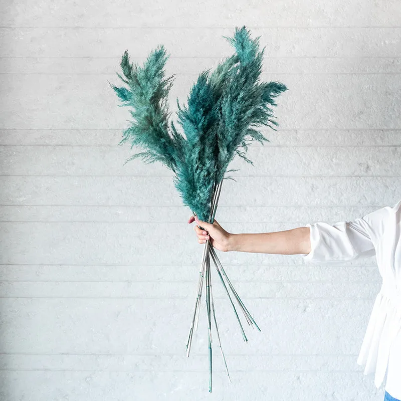 Sittora Pampas Stick (Ocean Blue) - Set Of Ten media 4