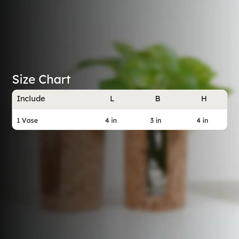 Hitcho Cork Testube Planter media 5