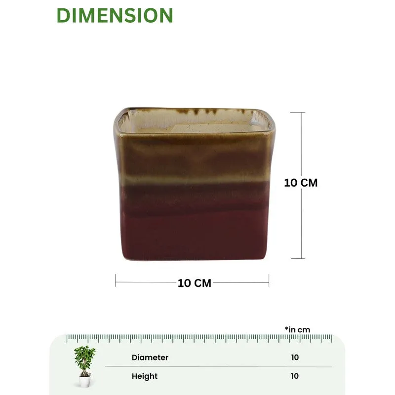 PureLuxe Pots & Planters (Brown) - Set Of Two media 9