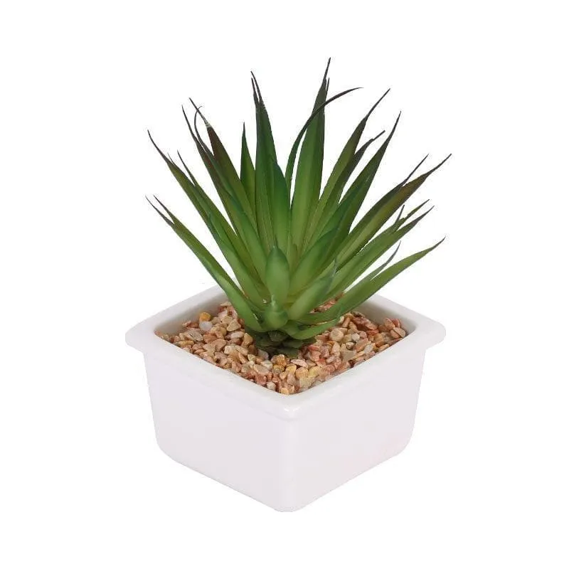 Faux Aloe Vera In White Pot - 13 cms media 3