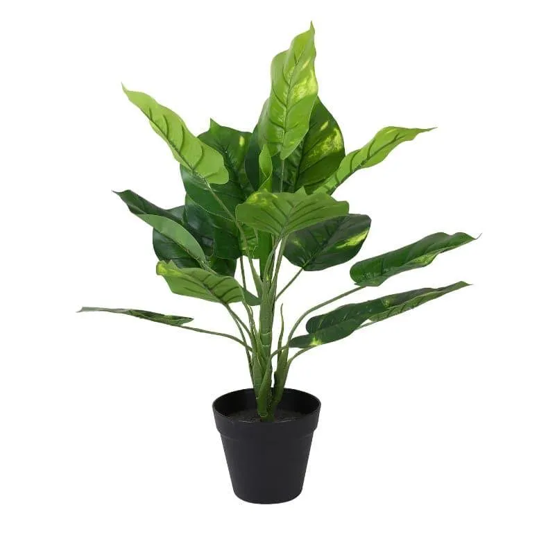 Faux Touch Pothos Bonsai In Black Plastic Pot - 45 cms media 5