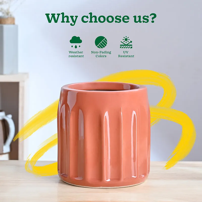 Ugaoo Straits Ceramic Planter - Coral media 6