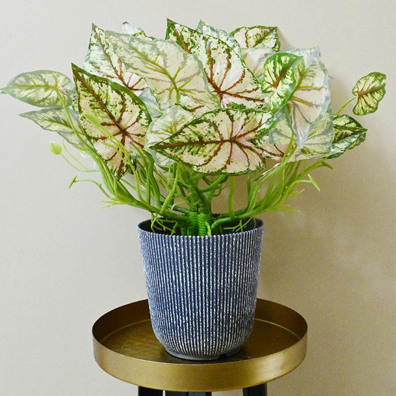 Caladelle Artificial Caladium Plant With Black Plastic Pot - 40 cm media 3