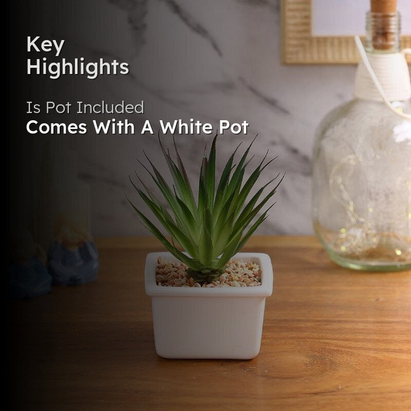 Faux Aloe Vera In White Pot - 13 cms media 2