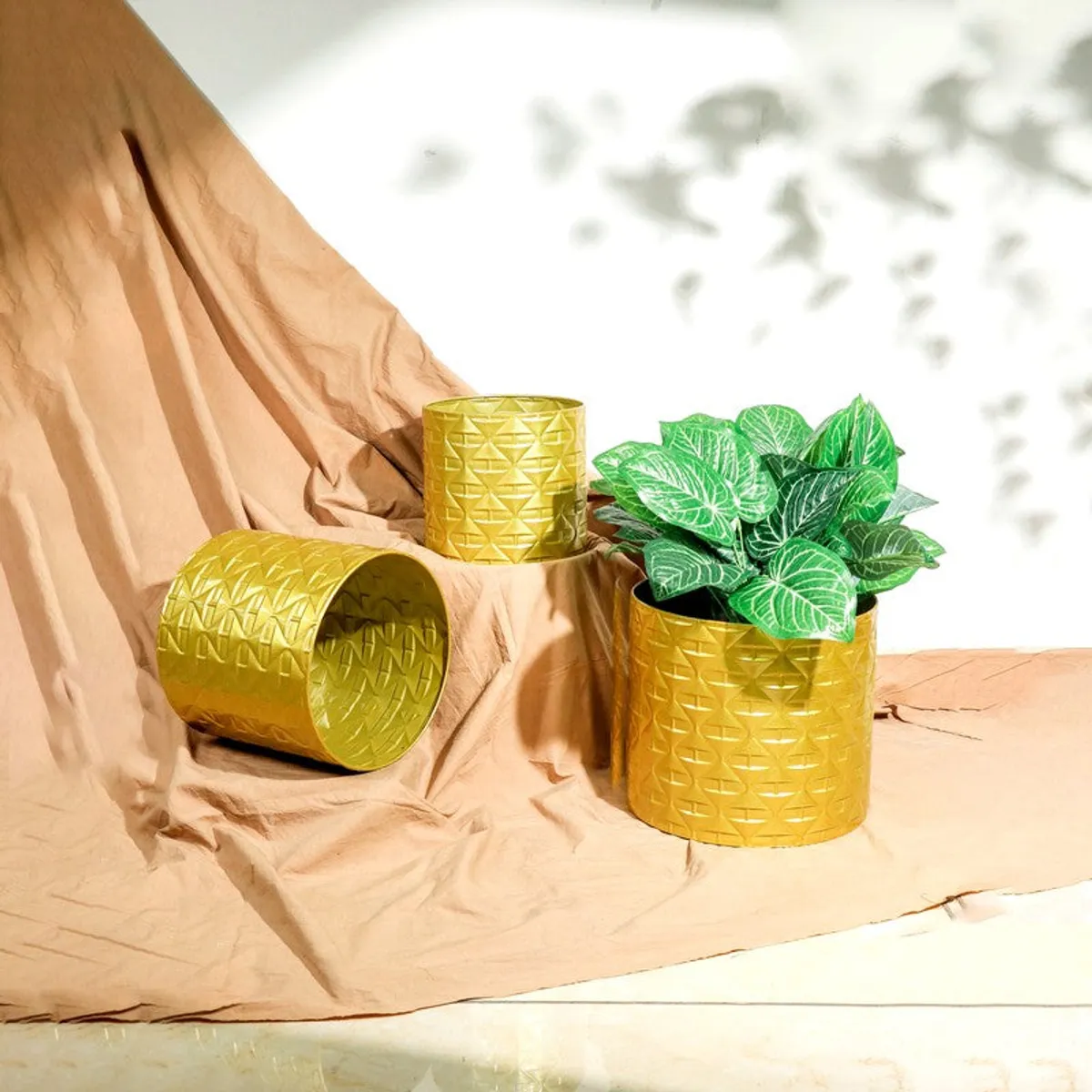 Gold planters styled with green plants on a warm fabric backdrop, including one planter on its side.