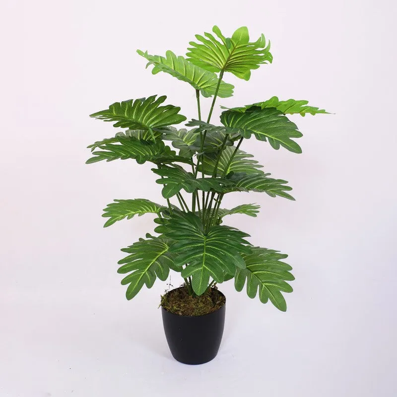 Faux Tropic Anthurium Silk Plant With Black Plastic Pot - 2.13 ft media 4