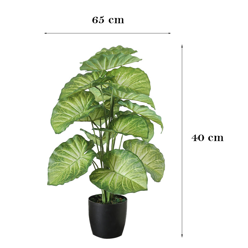Faux Tropica Dumb Cane Plant With Black Plastic Pot - 2.13 ft media 8