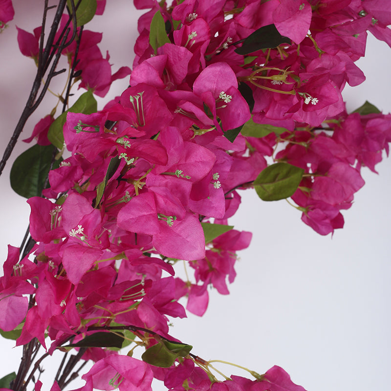 Villa Flora Artificial Bougainvillea With Black Plastic Pot (Pink) - 5.3 Feet media 5