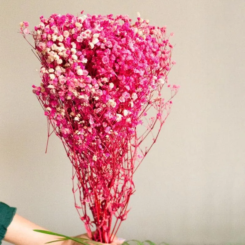 Naturally Dried Baby Breath Gypsophila Stems (Pink) - Set Of Five media 1