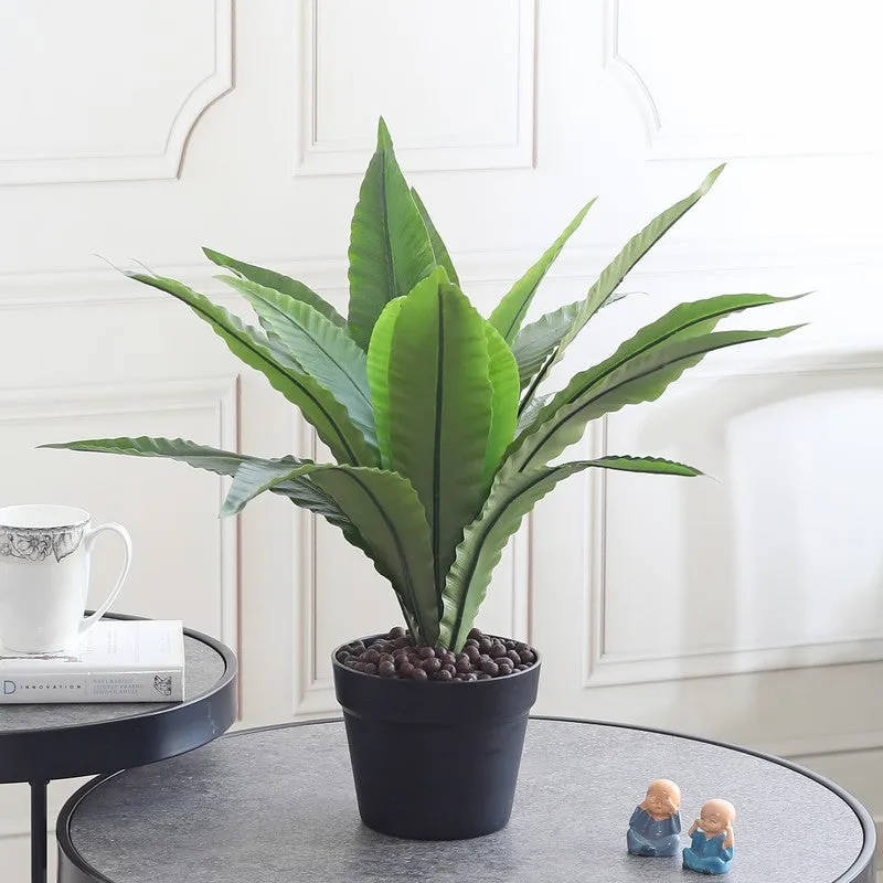 Evergree Touch Artificial Plant With Black Plastic Pot - 1.6 ft media 3