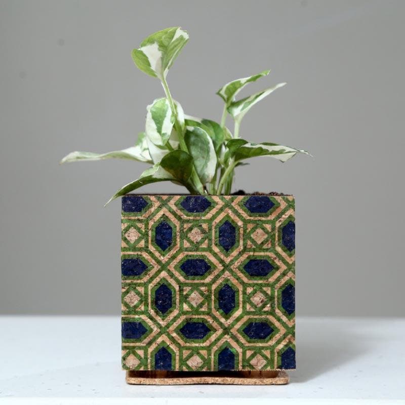 Whimsical Woodland Planter media 3