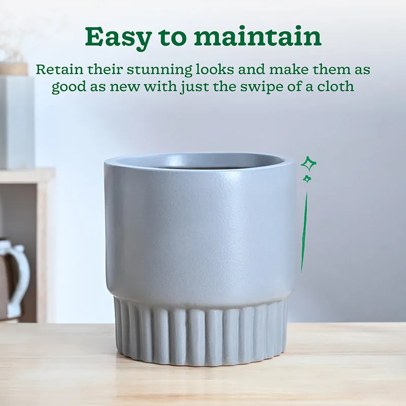 Ugaoo Sleepy Sprout Round Ceramic Planter - Grey media 5