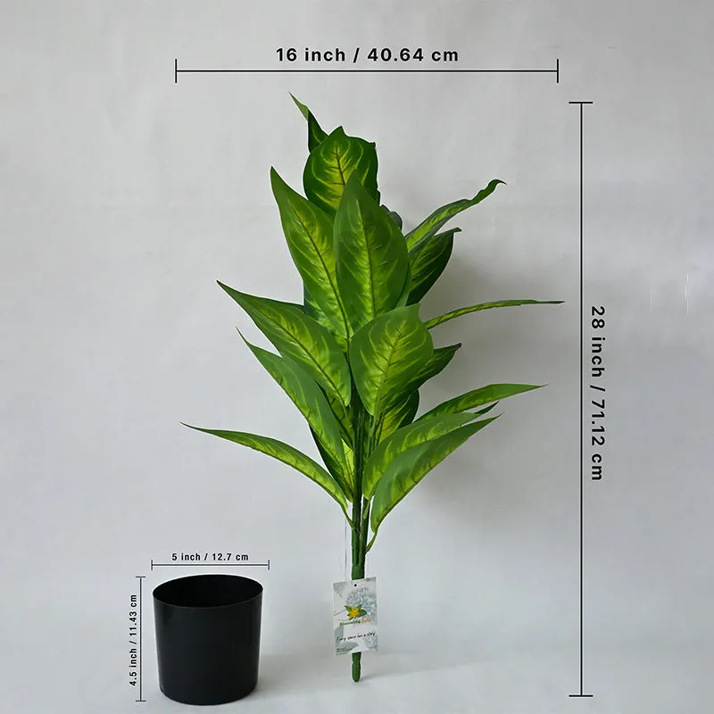 Faux Everlasting Dieffenbachia Amoena Plant With Black Plastic Pot - 71 cm (2.3 ft) media 6