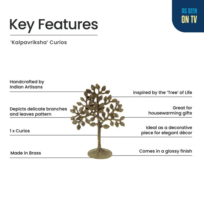 Nova Tree Brass Showpiece media 5