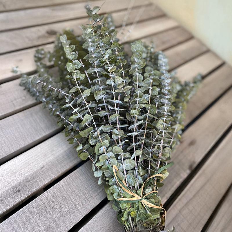 Dried Eucalyptus Stem - Set Of Five media 3