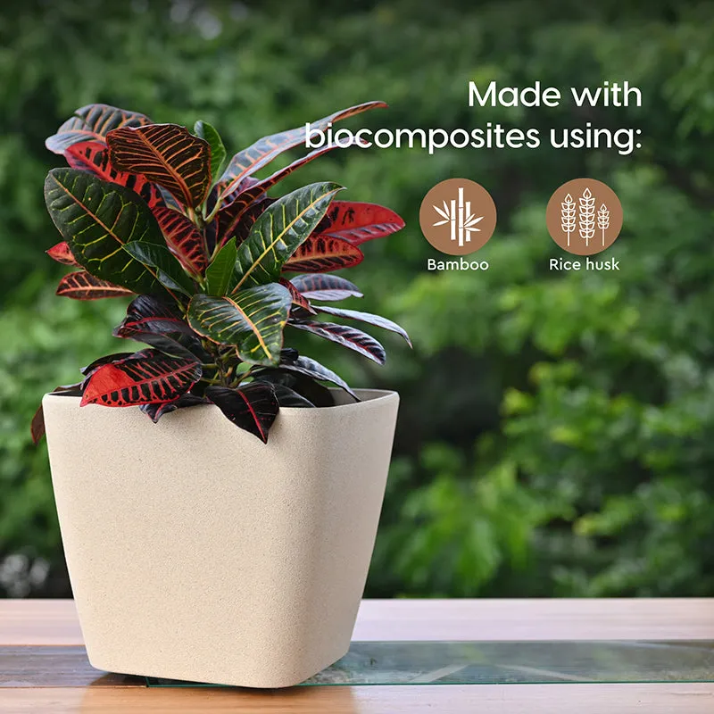 Nature Nook Self-Watering Planter - Set Of Two media 3