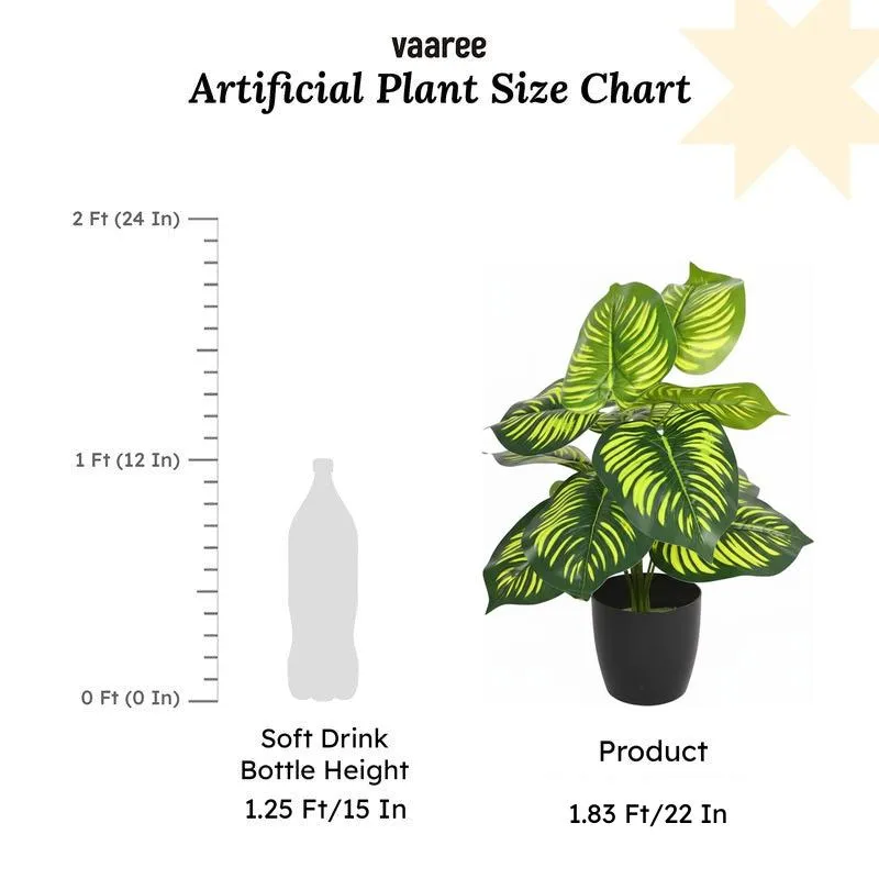Verdiva I Artificial Plant With Black Plastic Pot - 1.8 Feet media 6