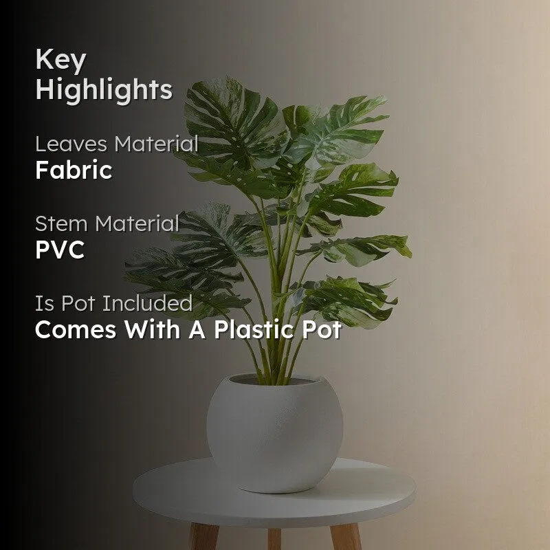LeafScape Artificial Plant With Black Plastic Pot - 2.5 ft media 2