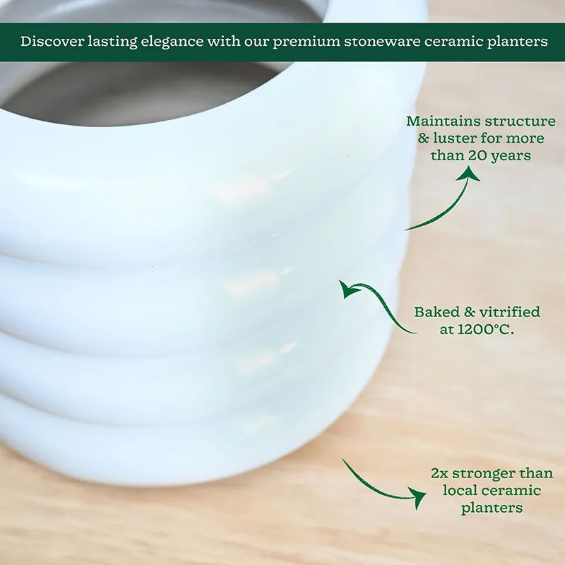 Ugaoo Ceramicurve Four Layer Ceramic Planter - White media 5