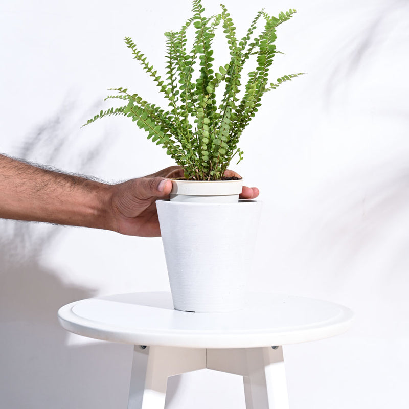 UGAOO Venice Planter for Home & Balcony Garden- White media 5
