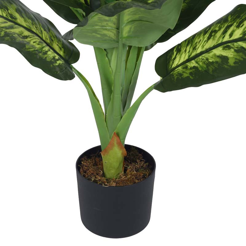 Faux Lush Dieffenbachia Plant With Black Plastic Pot - 3.0 Feet media 6