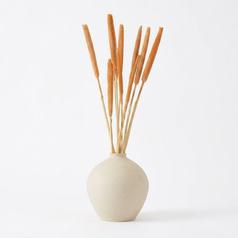 Dried Bajra Stems (2.46 ft) - Orange media 5