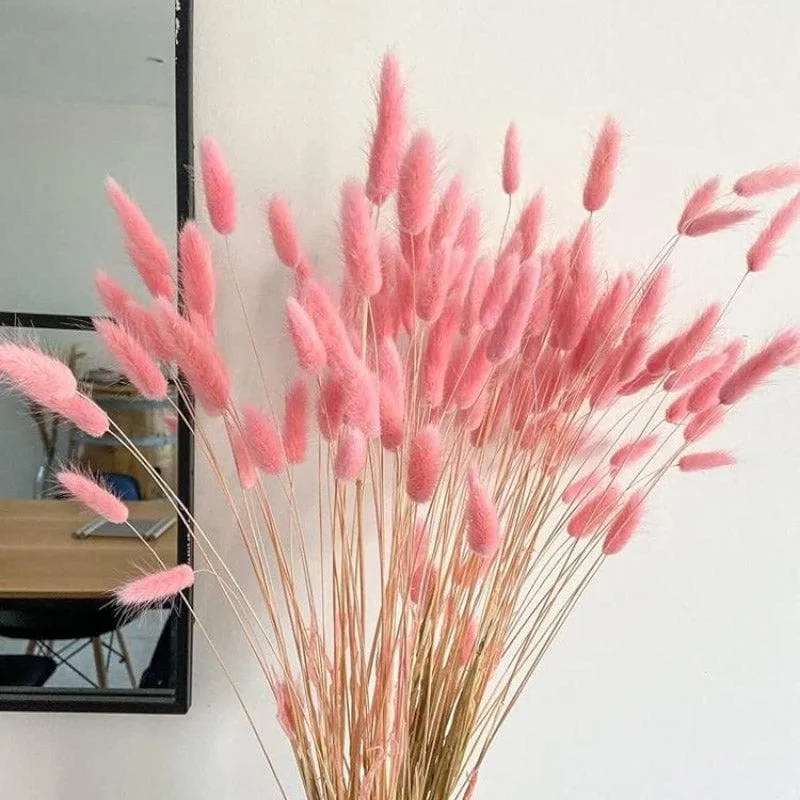 Naturally Dried Bunny Tail Stems (Pink) - Set of Thirty media 1